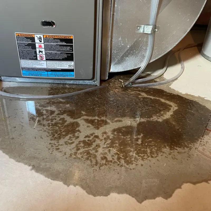 Appliance Leak Cleanup in Lawrence, IN